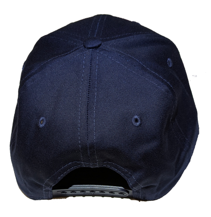 TDCJ Snapback Hat